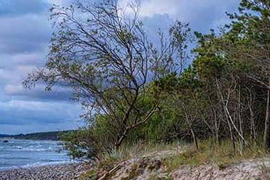 BLG推动电竞运动员身心健康发展项目，分析电竞运动员比赛时的心态