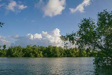 EDG将体能训练周期纳入赛事成绩参考维度，edg 训练赛