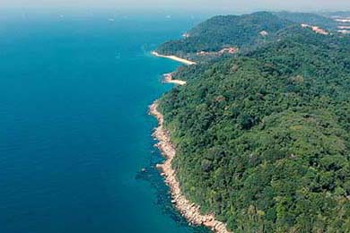 DOTA2新版本解读：英雄改动与战术演变，赛事格局将如何变化？，dota2 最新改动